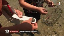 Pêche à pied : une pratique réglementée