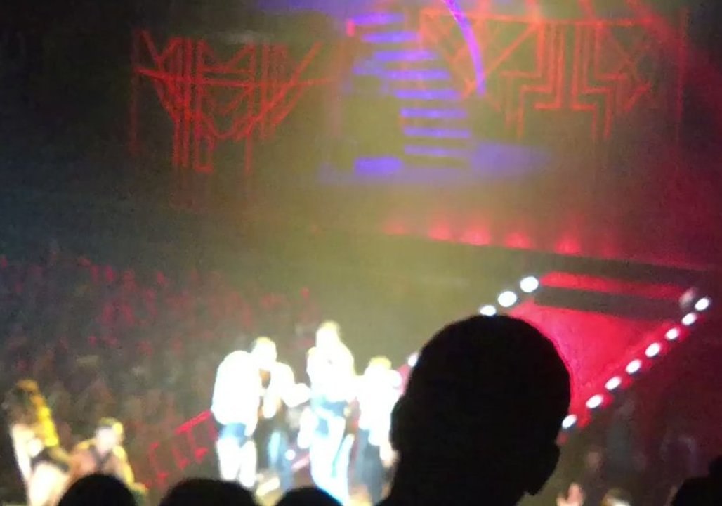 Britney Spears Puts Dog Leash on Fan During Dublin Concert - and That's Her Prerogative