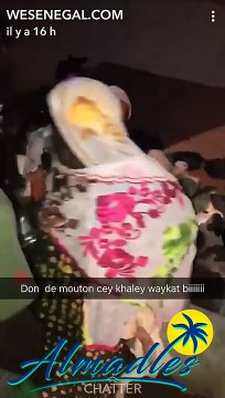 Don de moutons : Wally Seck fond en larmes