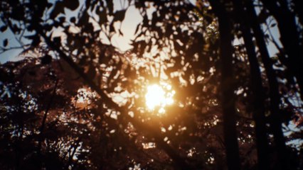 Gamescom - Life is Strange 2 : 20 minutes de gameplay