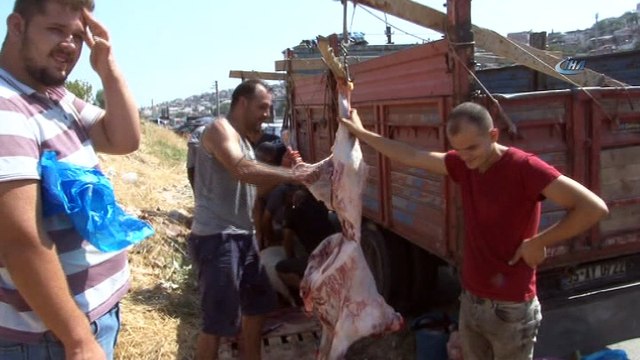 - Yine Kurban Bayramı yine aynı manzara