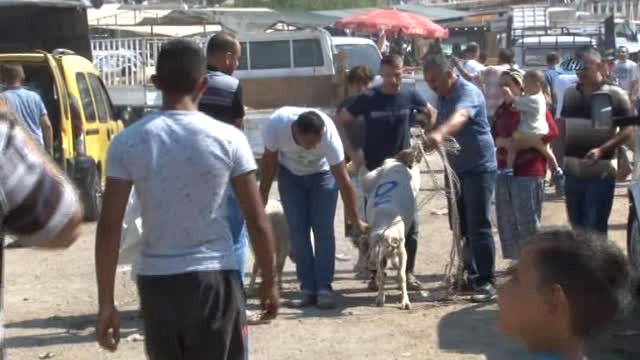 Yine Kurban Bayramı Yine Aynı Manzara