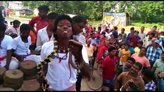 Indian tribal community performs terrifying stunts with deadly snakes