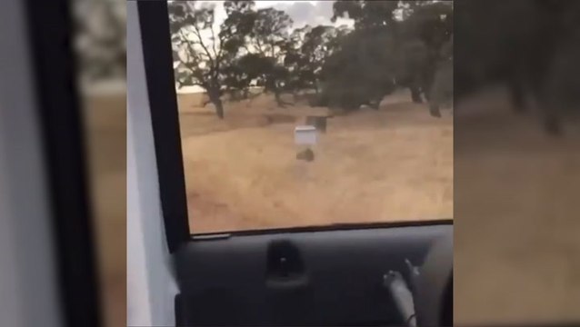 Superman Stunt, Dale Jr. Believes In Ghosts, Accidental Truck Shooting, Driverless Grocery Delivery, And Quiet Taycan