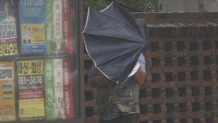 '곤파스'와 닮은 태풍 '솔릭', 강풍 위력 봤더니... / YTN