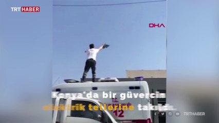Ambulansın üzerine çıkıp tellere takılan güvercini kurtardı