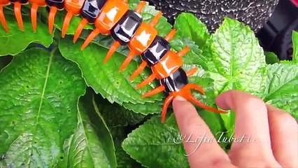 Mainan Lipan Innovation Giant Scolopendra Creepy Crawlers Toys