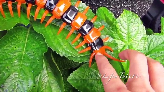 Mainan Lipan Innovation Giant Scolopendra Creepy Crawlers Toys