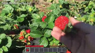 Real Life Minecraft STRAWBERRY PICKING