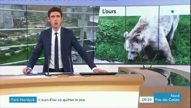 L'ours du film de Jean-Jacques Annaud, en mauvaise santé sera déplacé... mais pas avant un an