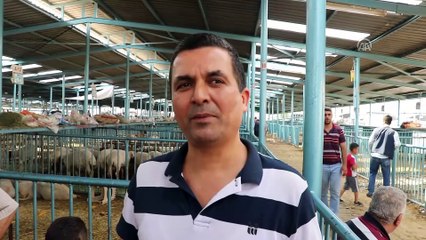 Hayvan pazarında bayram telaşı yaşandı - DENİZLİ