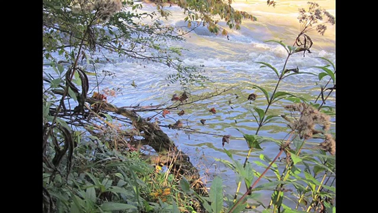 How Were Fossil Fuels Formed?