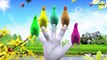 3D Hen Finger Family Song For Childrens || Five Little Babies || Learn Colors Finger Famil