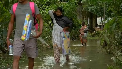 Selden kurtulan yavru köpekler Hintli çiftin acısını hafifletti