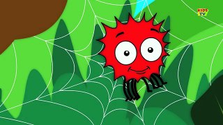 Incy Wincy Spider | Song For Kids | Kindergarten Nursery Rhymes For Children by Kids Tv