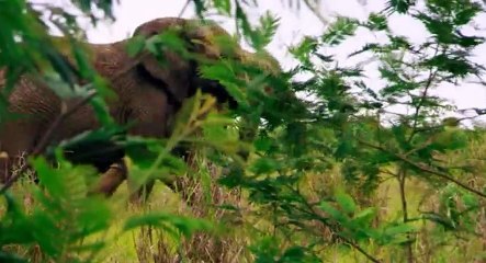 Bear Grylls Misson Survive S02  E04 E 4 - Part 02