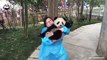 A panda a day, keeps the sorrow away. Nanny Mei is so proud that she has a panda! Yeah, she has every reason to be proud!