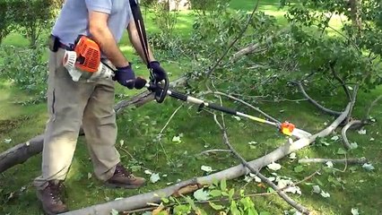 Stihl pole saw quick cuts (FS130 Kombi system)