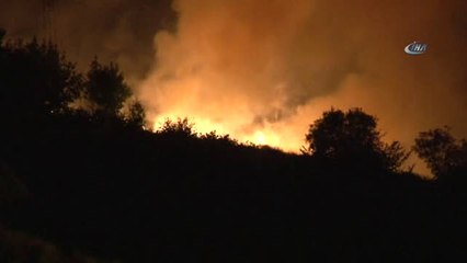 Trabzon'da Çalılık ve Otluk Alanda Yangın