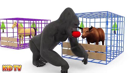 Animals Cartoons for Children | Learn Animals Name and Sound w Animals Babies Looking for