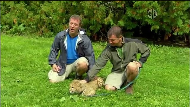 Wild Kratts 09 Cheetah Racer