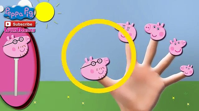 Peppa Pig Lollipop Finger Family Song PeppaPig Nursery Rhymes The Pig Family | LullaBabies
