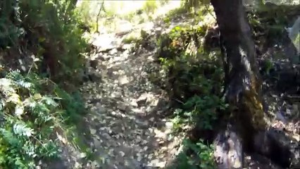 Electric dirt bike riding on extremely steep technical terrain on new Zero MXs