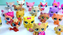 LPS Collection Tour Haul Video Bobblehead Littlest Pet Shop Kitty Cats Cookieswirlc Part 3