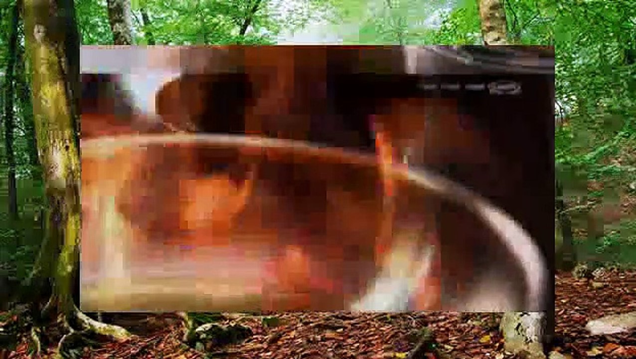 MasterChe Ireland - S02E11