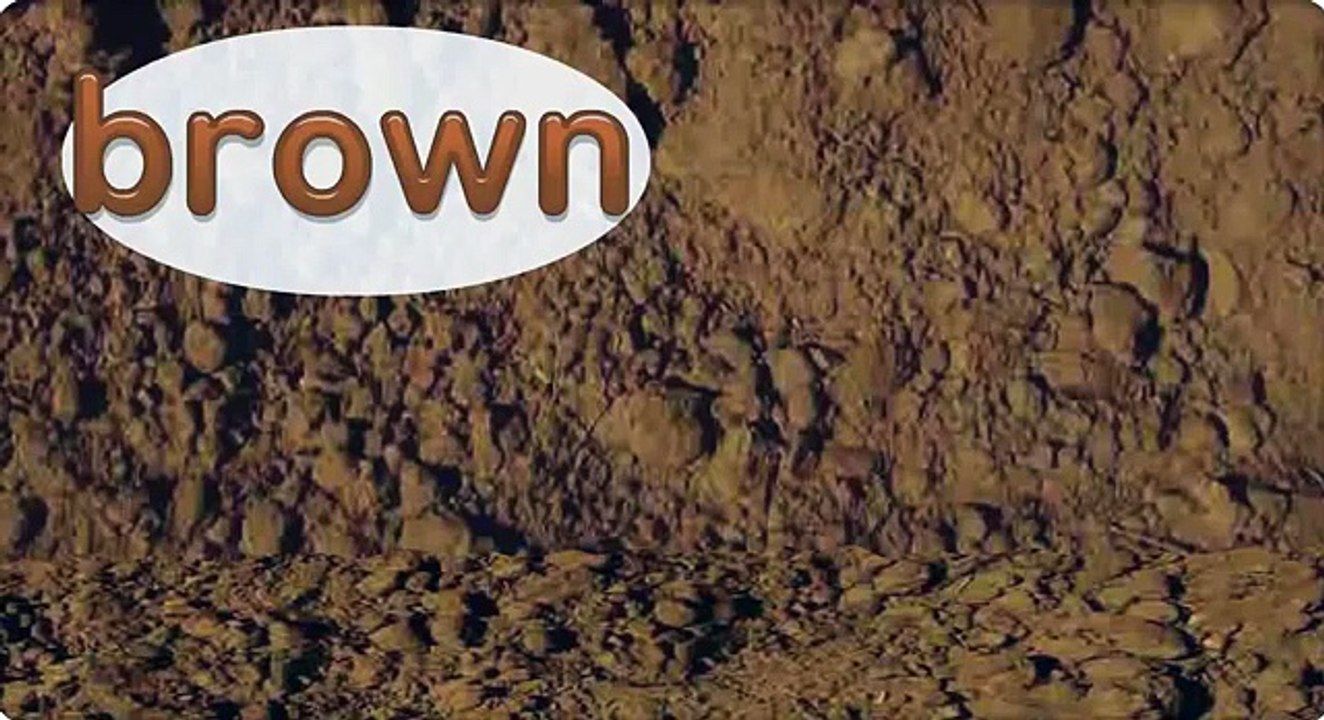 More.Starfall.com Hot Chocolate Brown