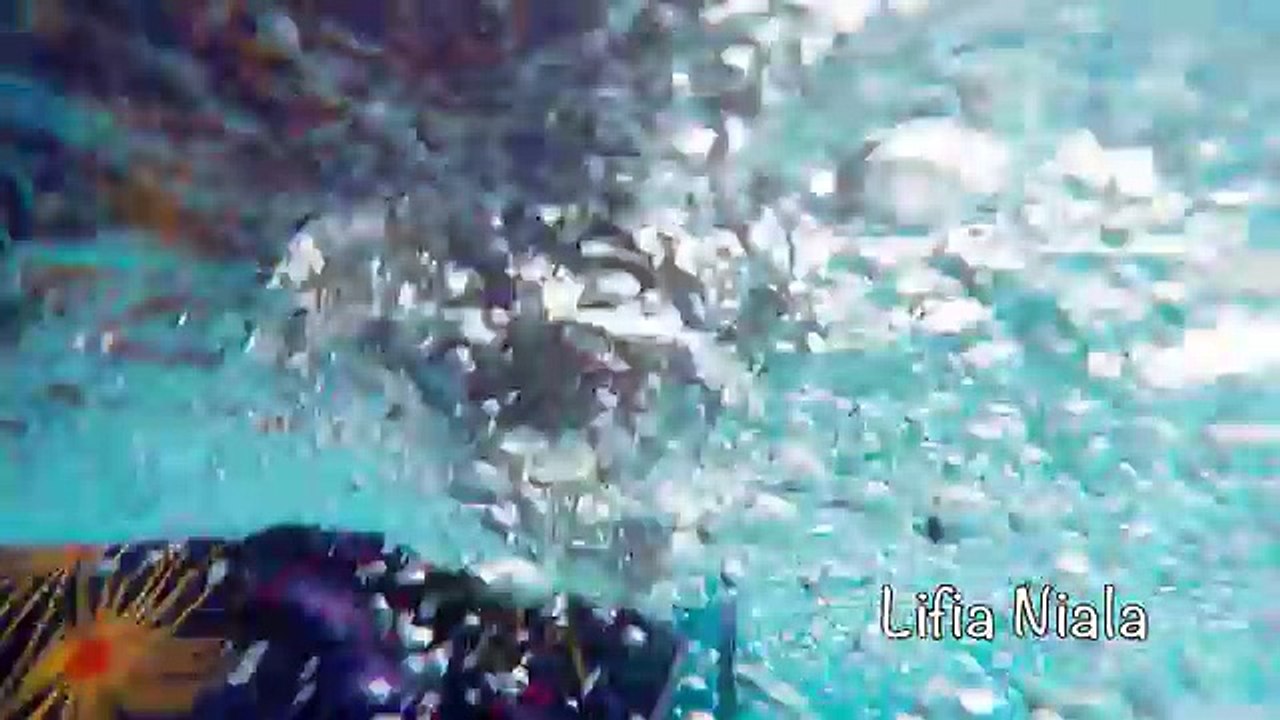 GIANT BALLON SURPRISE SHARK TOY Challenge in Bali @LifiaTubeHD