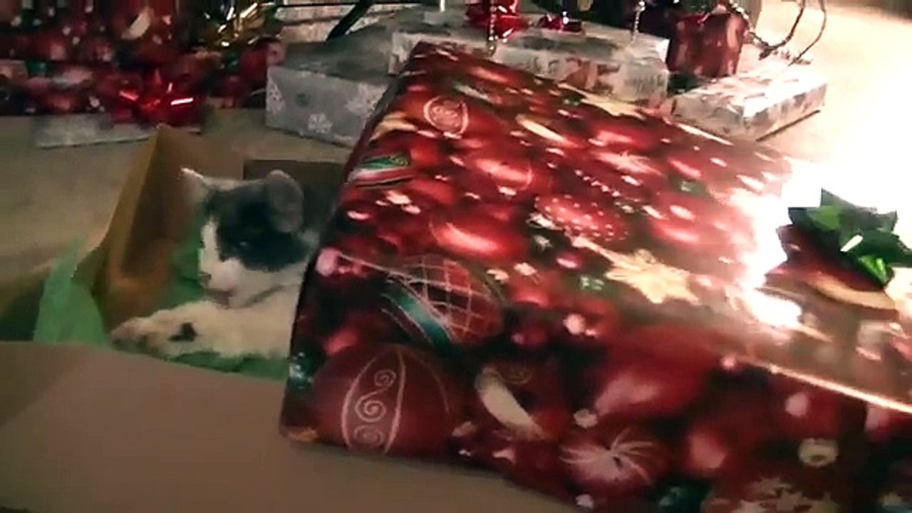 BEST CHRISTMAS PRESENT EVER,