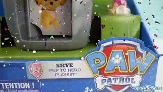Paw Patrol and pup house get surprises