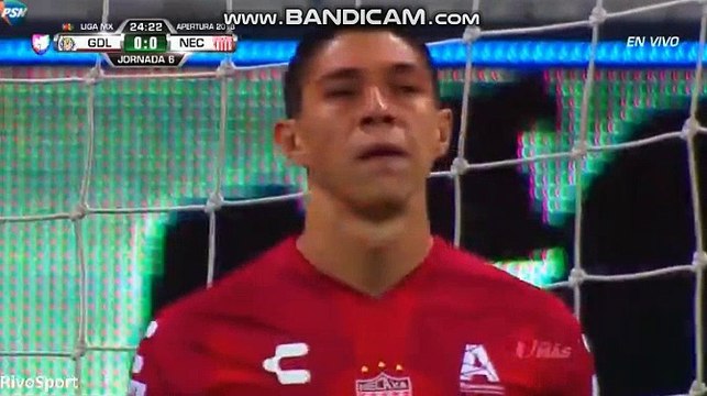 Angel Zaldivar Goal - Guadalajara Chivas vs Necaxa 1-0