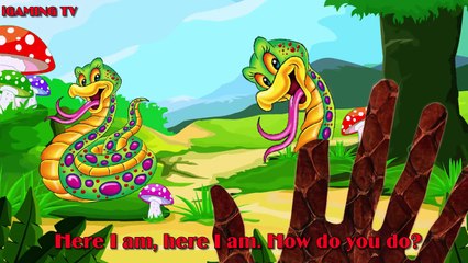 BÀN TAY NGÓN TAY RẮN HOẠT HÌNH: SNAKE FINGER FAMILY SONG RHYMES: SNAKE CUTE FINGER SONG CA