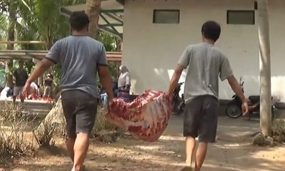 Omzet Pandai Besi dan Pedagang Arang Naik Saat Idul Adha