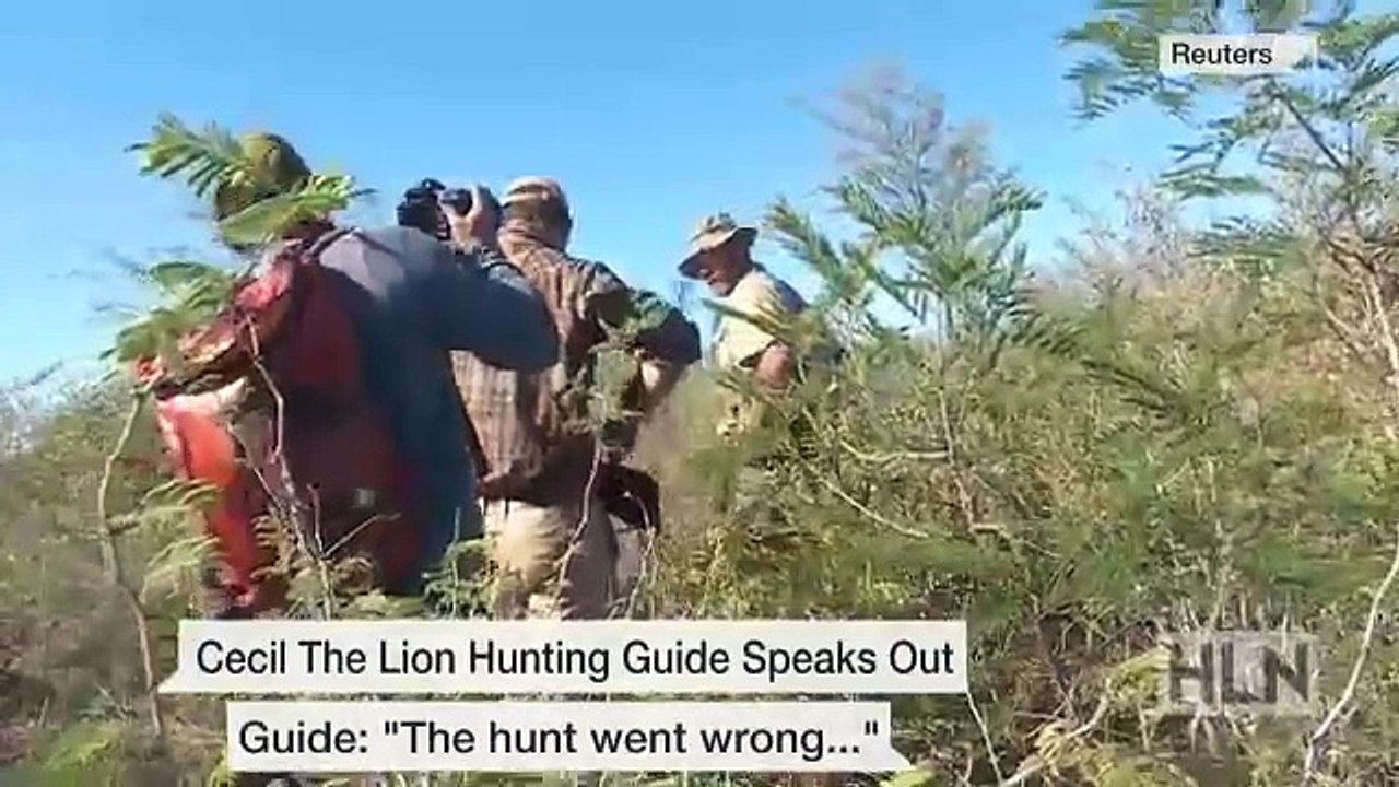 Cecil the Lion killing puts hunting in the crosshairs