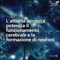 Fare sport è positivo, ma i suoi effetti non durano per sempre. Ecco cosa succede al cervello se non si è costanti...