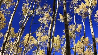 (Nature Inspiration Video w/Music) Americas Beautiful West: Synchronized Video & Song 108
