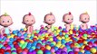 Learn Colors with 3D BABY Ice Cream Popsicles Ballpit Baby Doll Play Colours for Kids to L