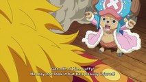 One Piece - Cute Chopper Moment ❤ [HD]