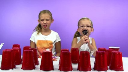 SIS vs SIS Food Challenge Food To Go Edition!