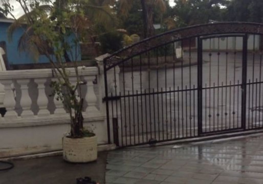 Earthquake Tremors Sway Trees and Electricity Poles in Trinidad and Tobago