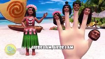 Moana Finger Family | Nursery Rhymes and Kids Song | 3D Animation