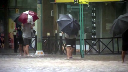 '솔릭' 다가온다...일상생활에서 태풍 피해 줄이려면? / YTN