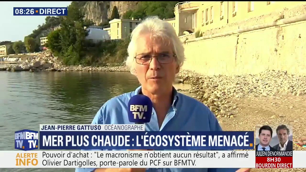 Une Méditerranée plus chaude, c'est agréable pour les vacanciers mais ça bouleverse notre écosystème