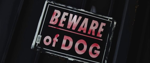 Snap Dogg feat Snoop Dogg "You Gotta Be a Dog"