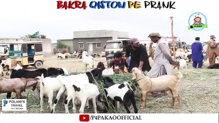 Bakra Qiston Pe Prank - By Nadir Ali And Rizwan In - P4 Pakao - 2018