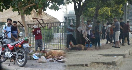 Adana'da 58 Bin Liralık Cezaya Rağmen Çocukların Gözü Önünde Kurban Kestiler
