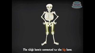 The Skeleton Dance | Super Simple Songs